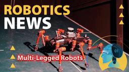 A Navigation System for Multi-legged Robots for Different Terrain
