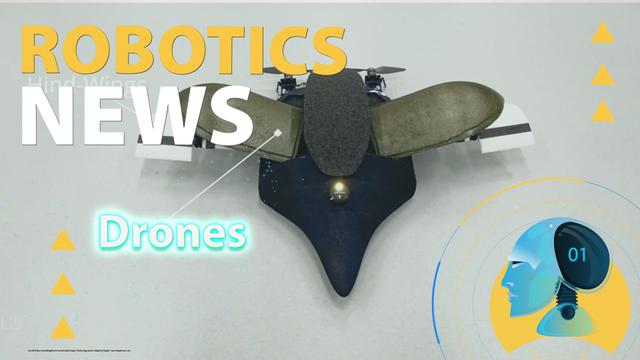 A Protective System for Winged Drones Inspired by Beetles