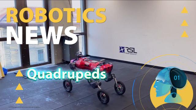 A Wheeled-Quadruped Robot for Logistics and Delivery Applications