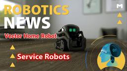 Vector Home Robot