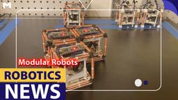 Modular Self-Reconfigurable Robots