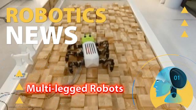 A Bioinspired Advanced Neural Control for Autonomous Walking Robots