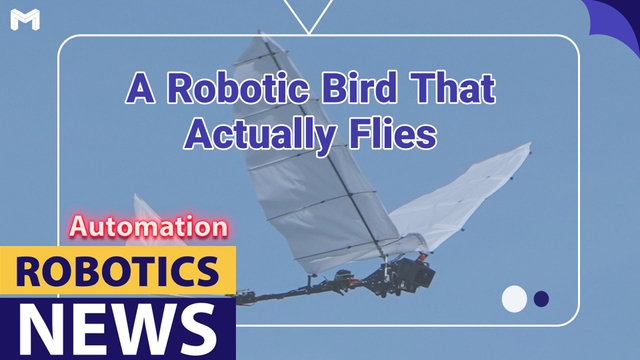 A Robotic Bird That Actually Flies
